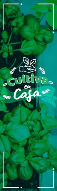 Cultiuva en Casa: Huerta Vertical